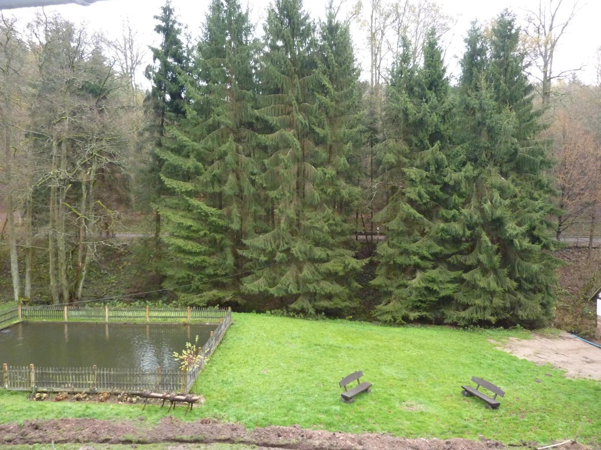 Hof Guttels Waldgasthof Ferienpension Rotenburg an der Fulda Pokoj fotografie